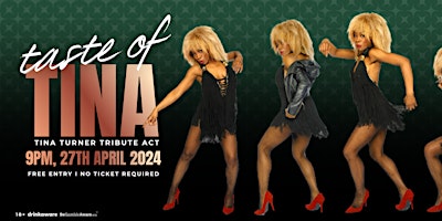 Taste of Tina - Tina Turner Tribute Act primary image