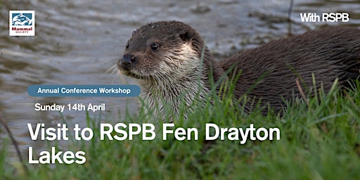 Visit to RSPB Fen Drayton Lakes primary image