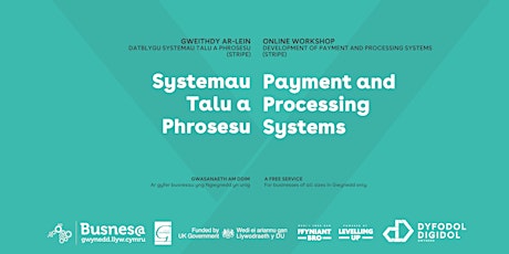 Systemau Talu a Phrosesu // Payment and Processing Systems