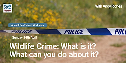 Wildlife Crime: What is it? What can you do about it? primary image