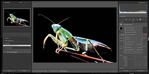 Die neuen KI-Funktionen & erweiterte Maskierungen in Lightroom Classic primary image