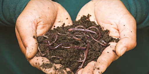 Imagem principal do evento Worms at Work: Vermicomposting 101