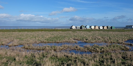 Guided Birdwatching Walk primary image