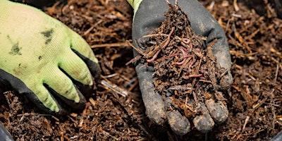 Hauptbild für Vermicomposting Workshop at The Urban Oasis