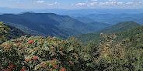 Full Moon Yoga Hike Craggy Gardens Trail