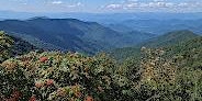 Full Moon Yoga Hike Craggy Gardens Trail primary image