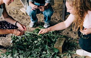 Hauptbild für Nettle Cording with SILT