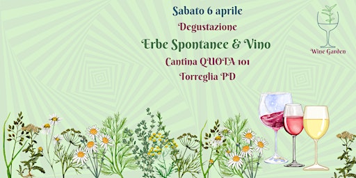 Immagine principale di Wine Garden Erbe Spontanee & Vino 