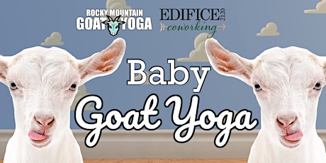 Baby Goat Yoga - March  31st  (EDIFICE COWORKING)