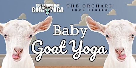 Baby Goat Yoga - April 6th (Orchard Town Center)