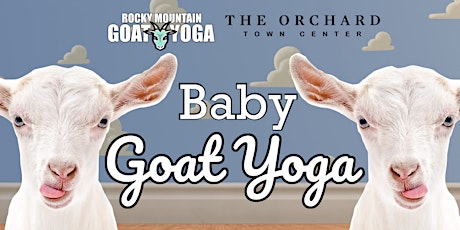 Baby Goat Yoga - April 20th (Orchard Town Center)