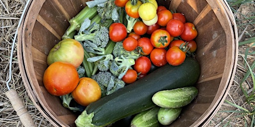 Hauptbild für Vegetable Gardening 101