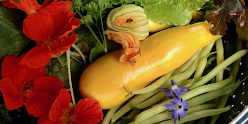 Hauptbild für Grow Your Own Vegetables - Extra Tickets Released through the waitlist