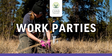 Cage Removal Work Party, Camp Polk Meadow Preserve primary image