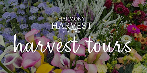 Harvest Tours primary image