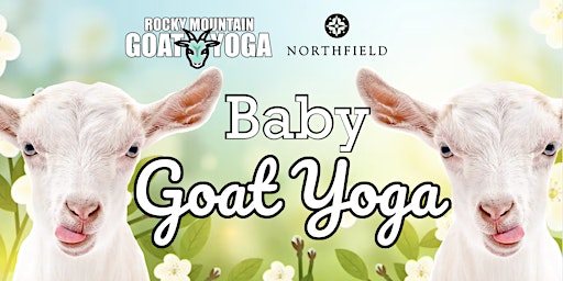 Immagine principale di Baby Goat Yoga - May 11th (NORTHFIELD) 