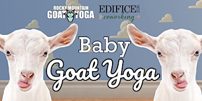 Hauptbild für Baby Goat Yoga - April  21st  (EDIFICE COWORKING)