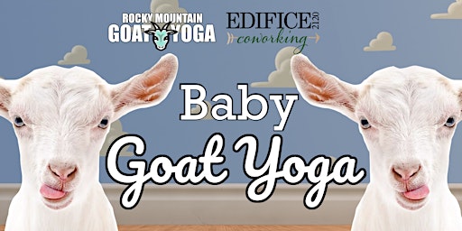 Primaire afbeelding van Baby Goat Yoga - April  21st  (EDIFICE COWORKING)