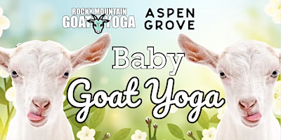 Imagem principal do evento Baby Goat Yoga - April 27th  (ASPEN GROVE)