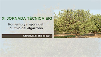 Image principale de XI JORNADA TÉCNICA EIG