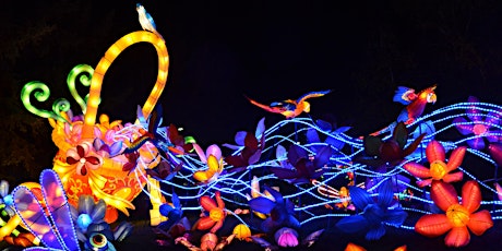 Magical Chinese Lantern Festival primary image