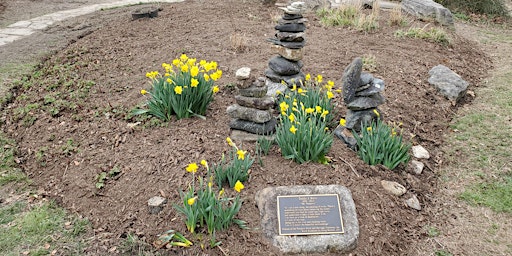 Spring's Coming-Wake up the Oella Entrance Garden  primärbild