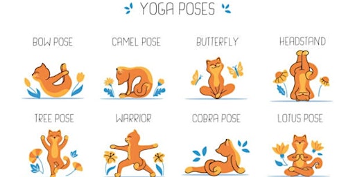 May Cat Yoga  primärbild