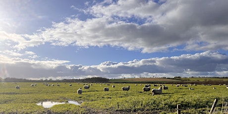 Spring farm walks with Farmer Tom