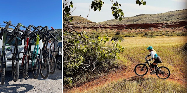 Image principale de Betty's Bikes Clinic 2026