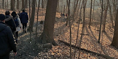 Primaire afbeelding van Sunrise Hike - Brock Tract Trail (Uxbridge)