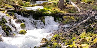 Primaire afbeelding van Chasing waterfalls-  Watridge Lake and Karst Springs (2BL)