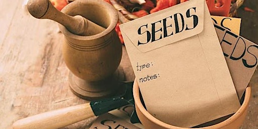 Immagine principale di Seed Collecting and Seed Saving for Gardeners 