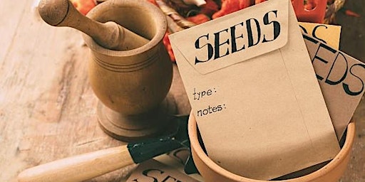 Imagem principal de Seed Collecting and Seed Saving for Gardeners