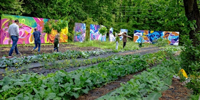 Volunteer Project at Sankofa Community Orchard primary image