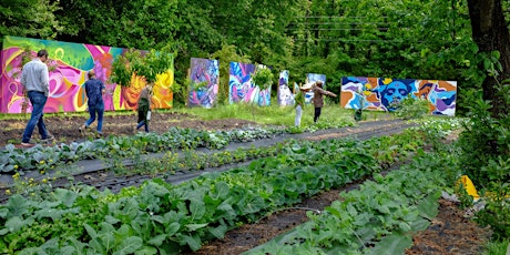 Volunteer Project at Sankofa Community Orchard