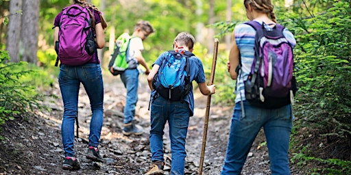 Wellderness Adventures - Guided Hike primary image