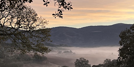 "Shed the Cocoon of Winter, Blossom into Balance"	  Daylong Retreat