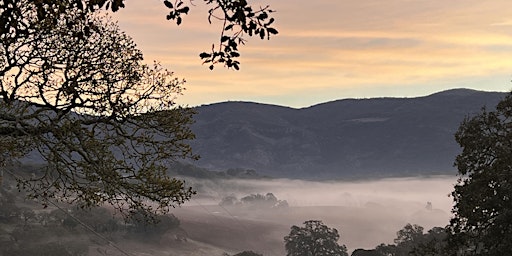 Imagem principal de "Shed the Cocoon of Winter, Blossom into Balance"      Daylong Retreat