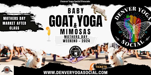 Primaire afbeelding van Mothers Day Baby Goat Yoga & Mimosas Sponsored by Pine Melon