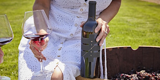 Imagem principal de Mizel Estate Wines - Wine Tasting in the Vineyard