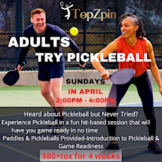 Try Pickleball Sessions (April Sunday's 2-4pm)