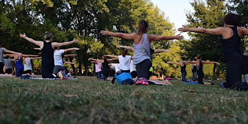 Basic Yoga in the Gardens for Beginners primary image