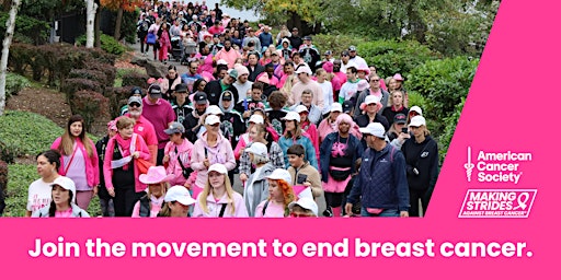 Primaire afbeelding van Making Strides Against Breast Cancer of Seattle