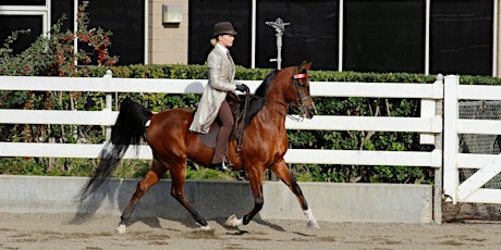 CANCELED DUE TO RAIN - March Sunday Horse Show primary image