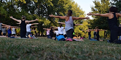 Imagen principal de Basic Yoga in the Gardens for Beginners