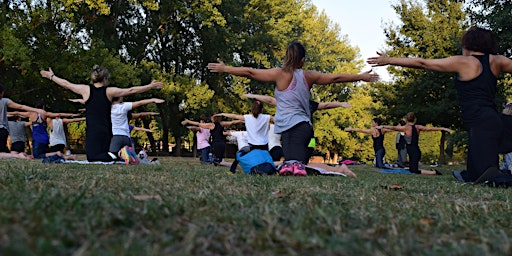 Primaire afbeelding van Basic Yoga in the Gardens for Beginners