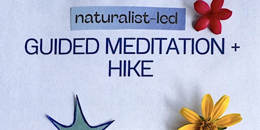 Guided Meditation + Hike 3/29 primary image