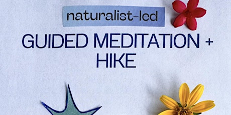 Guided Meditation + Hike 4/5