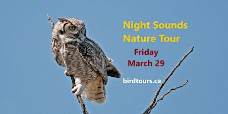 Night Sounds Self-Driving Escorted Nature  Group  Tour
