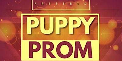 Puppy Prom  primärbild